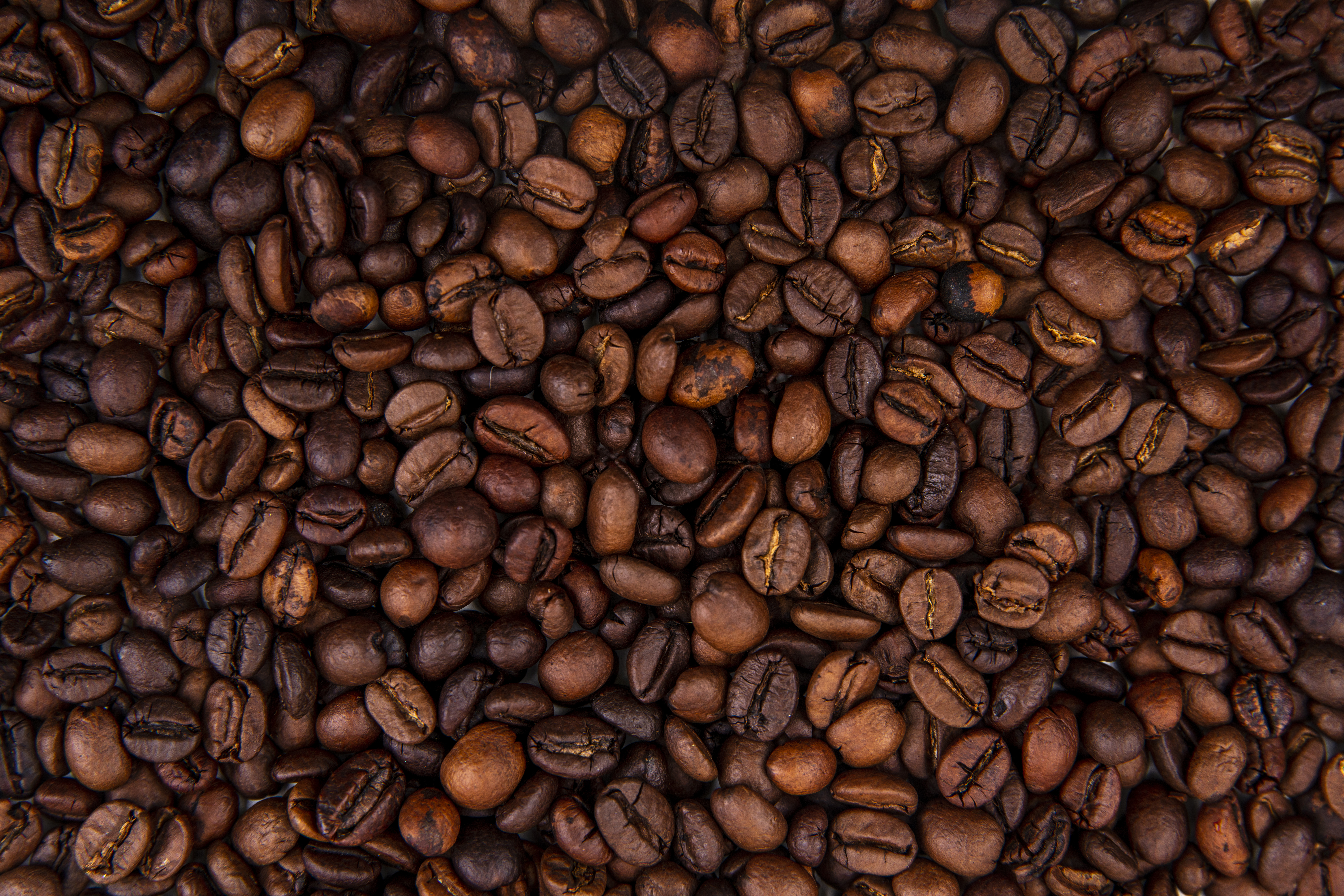 Coffee Packaging & Shipping